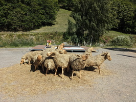 PXL 20230809 143127508